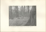 EP - Ewidencja parkowa, skan nr 17