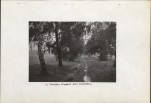 Ewidencja parkowa, skan nr 14