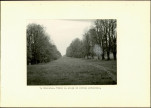 EP - Ewidencja parkowa, skan nr 16