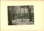 Ewidencja parkowa, skan nr 16