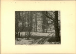 Ewidencja parkowa, skan nr 17