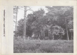Ewidencja parkowa, skan nr 20