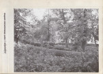 Ewidencja parkowa, skan nr 22