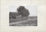 Ewidencja parkowa, skan nr 13