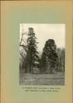 Ewidencja parkowa, skan nr 18