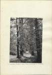 EP - Ewidencja parkowa, skan nr 11