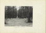 Ewidencja parkowa, skan nr 11