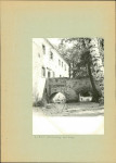 Ewidencja parkowa, skan nr 16