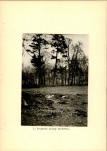 Ewidencja parkowa, skan nr 17
