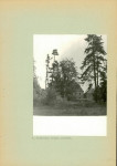 Ewidencja parkowa, skan nr 19