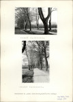 Ewidencja parkowa, skan nr 3