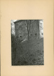 Ewidencja parkowa, skan nr 16