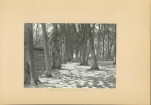 Ewidencja parkowa, skan nr 15