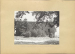 Ewidencja parkowa, skan nr 25