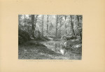 Ewidencja parkowa, skan nr 22