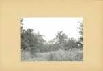 Ewidencja parkowa, skan nr 11