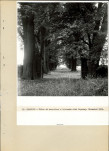 Ewidencja parkowa, skan nr 33