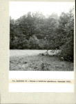 Ewidencja parkowa, skan nr 25