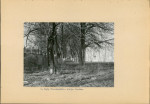Ewidencja parkowa, skan nr 16
