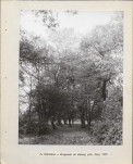 Ewidencja parkowa, skan nr 18