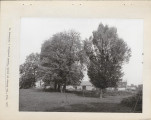 Ewidencja parkowa, skan nr 22