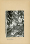 Ewidencja parkowa, skan nr 20