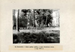 Ewidencja parkowa, skan nr 19