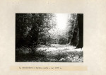 Ewidencja parkowa, skan nr 23