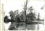 Ewidencja parkowa, skan nr 28