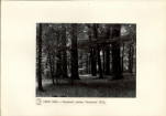 Ewidencja parkowa, skan nr 24