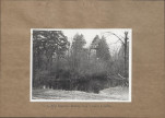 Ewidencja parkowa, skan nr 16