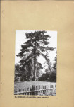 Ewidencja parkowa, skan nr 18
