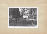 Ewidencja parkowa, skan nr 20