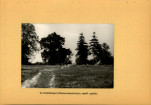 Ewidencja parkowa, skan nr 17
