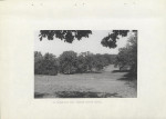 Ewidencja parkowa, skan nr 13