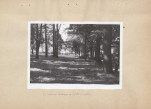 Ewidencja parkowa, skan nr 20