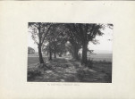 Ewidencja parkowa, skan nr 11