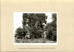 Ewidencja parkowa, skan nr 17