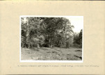 EP - Ewidencja parkowa, skan nr 26