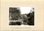 EP - Ewidencja parkowa, skan nr 28