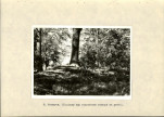 Ewidencja parkowa, skan nr 21