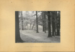 Ewidencja parkowa, skan nr 25