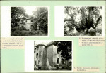 Ewidencja parkowa, skan nr 26