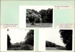 Ewidencja parkowa, skan nr 28