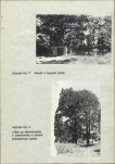 Ewidencja parkowa, skan nr 23