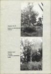 Ewidencja parkowa, skan nr 20