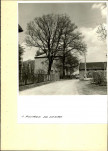 EP - Ewidencja parkowa, skan nr 11