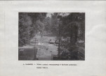 Ewidencja parkowa, skan nr 20