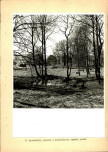 EP - Ewidencja parkowa, skan nr 23