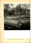 EP - Ewidencja parkowa, skan nr 31